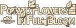 Potato Flowers in Full Bloom