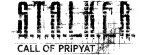Сталкер Call of Pripyat