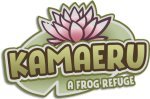 Kamaeru: A Frog Refuge