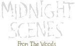 Midnight Scenes: From the Woods