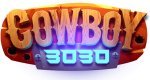 Cowboy 3030