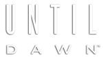 Until Dawn