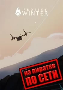 Project Winter по сети
