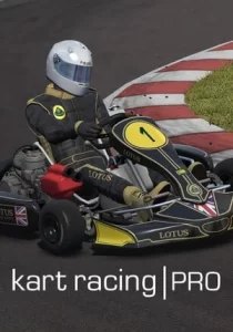 Kart Racing Pro