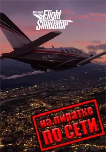 Microsoft Flight Simulator по сети