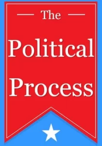 The Political Process