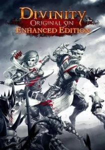 Divinity: Original Sin - Enhanced Edition 