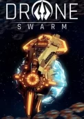 Drone Swarm