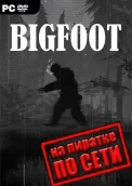 BIGFOOT по сети