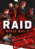 RAID: World War 2 - Special Edition по сети