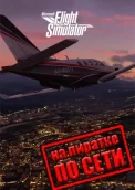 Microsoft Flight Simulator по сети