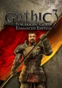 Gothic 3: Forsaken Gods Enhanced Edition