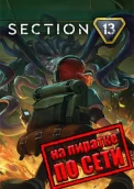 Section 13 по сети 