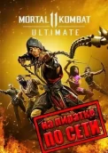 Mortal Kombat 11 по сети