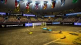 Ball 3D Soccer Online по сети