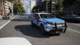 Police Simulator: Patrol Officers по сети
