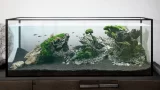 Aquarium Designer