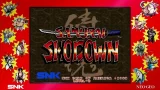 SAMURAI SHODOWN NEOGEO COLLECTION